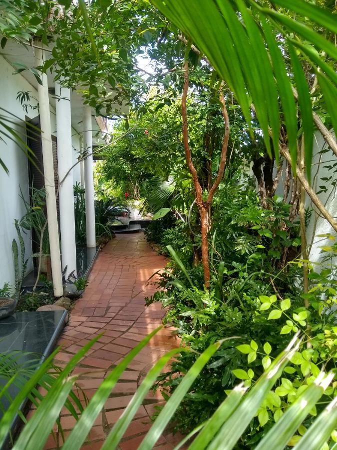 Guesthouse Mata Da Praia Vitoria Ngoại thất bức ảnh